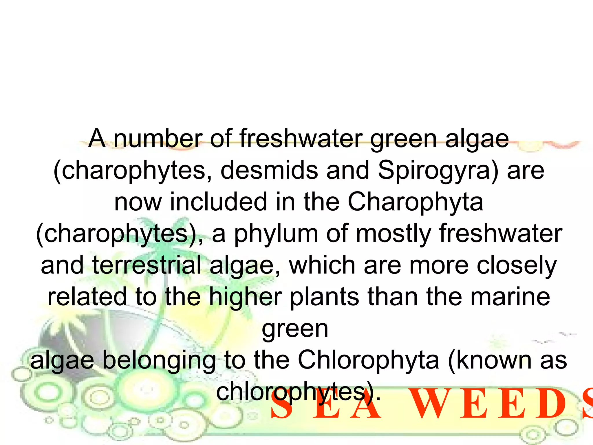 SEA WEEDS A number of freshwater green algae (charophytes, desmids and Spirogyra) are now included in the Charophyta (charophytes), a phylum of mostly freshwater and terrestrial algae, which are more closely related to the higher plants than the marine green  algae belonging to the Chlorophyta (known as chlorophytes). 