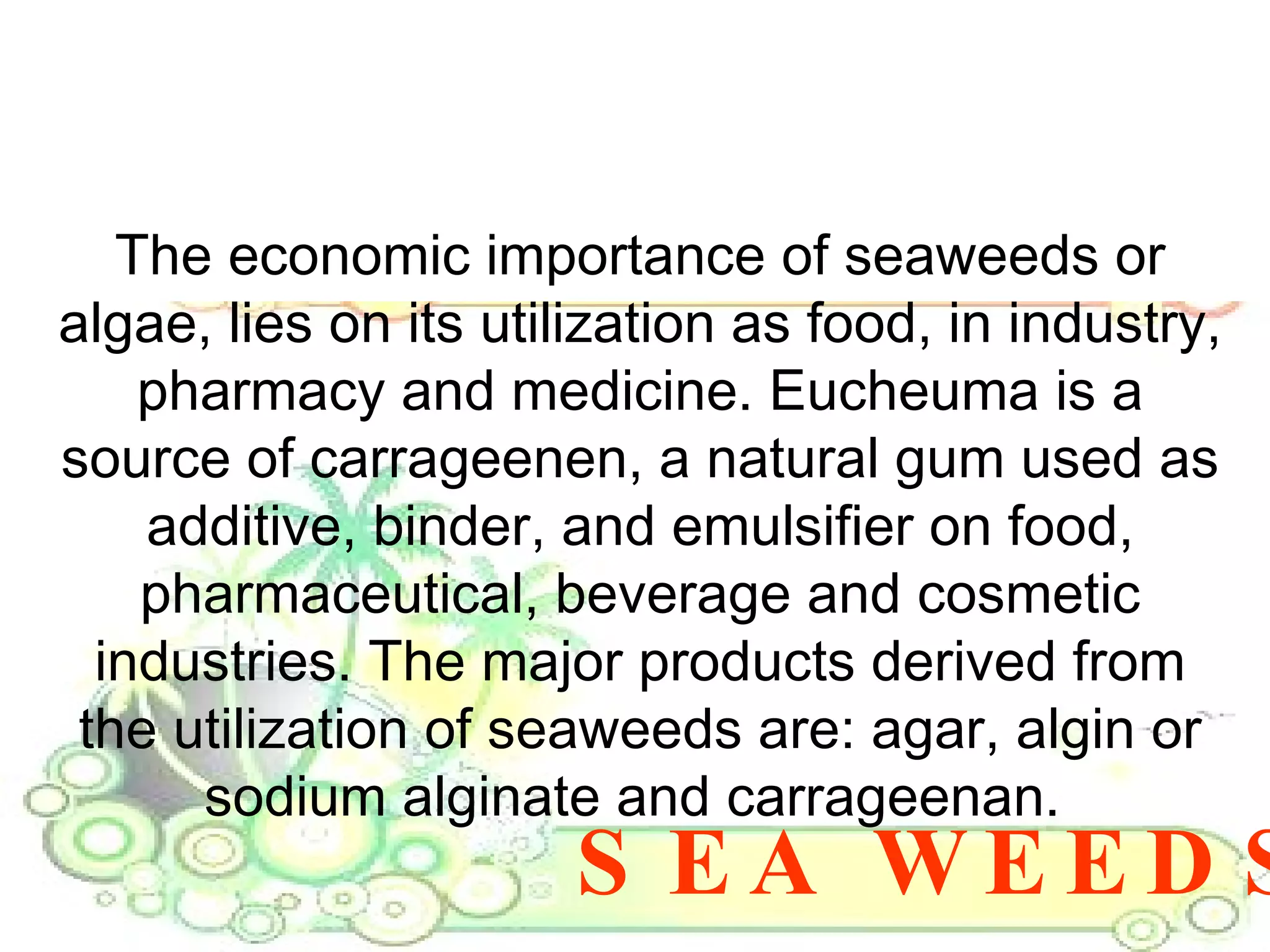 SEA WEEDS The economic importance of seaweeds or algae, lies on its utilization as food, in industry, pharmacy and medicine. Eucheuma is a source of carrageenen, a natural gum used as additive, binder, and emulsifier on food, pharmaceutical, beverage and cosmetic industries. The major products derived from the utilization of seaweeds are: agar, algin or sodium alginate and carrageenan.  