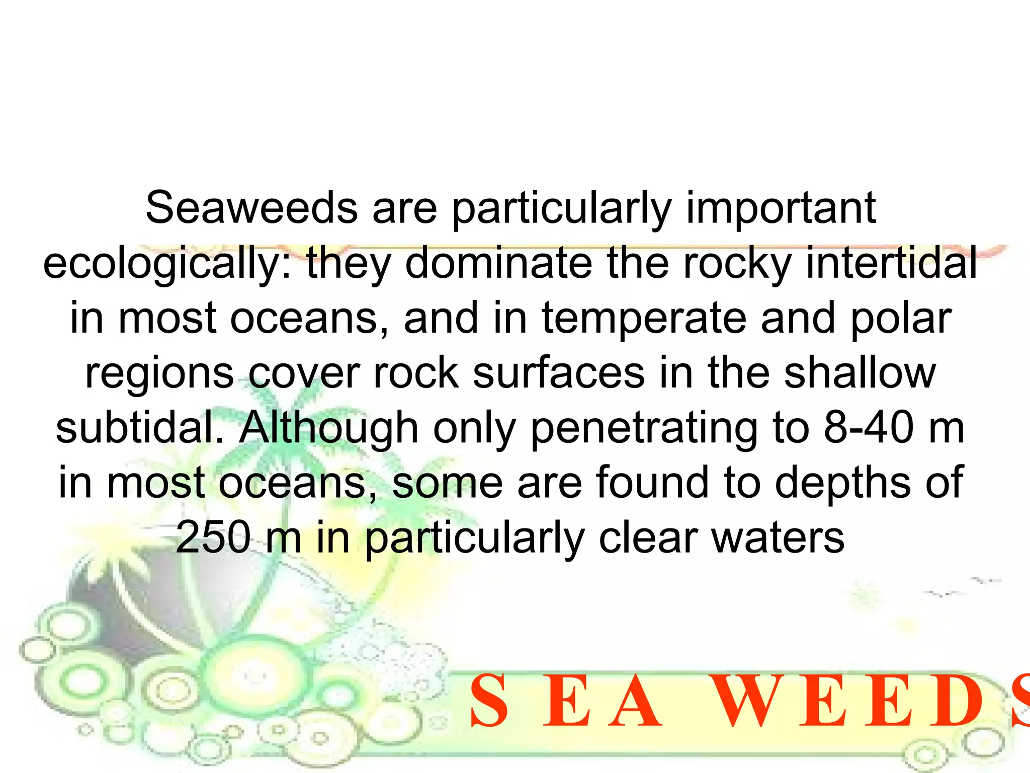 SEA WEEDS Seaweeds are particularly important ecologically: they dominate the rocky intertidal in most oceans, and in temperate and polar regions cover rock surfaces in the shallow subtidal. Although only penetrating to 8-40 m in most oceans, some are found to depths of 250 m in particularly clear waters 