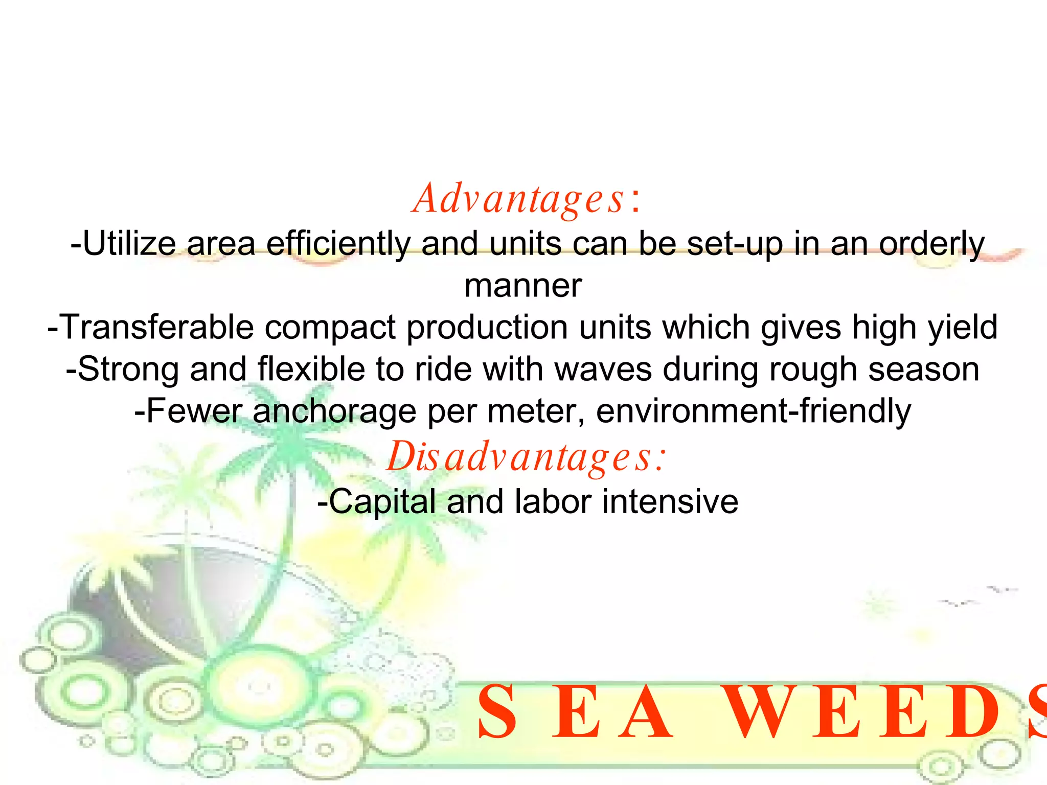 SEA WEEDS Advantages : -Utilize area efficiently and units can be set-up in an orderly manner  -Transferable compact production units which gives high yield  -Strong and flexible to ride with waves during rough season  -Fewer anchorage per meter, environment-friendly  Disadvantages: -Capital and labor intensive 