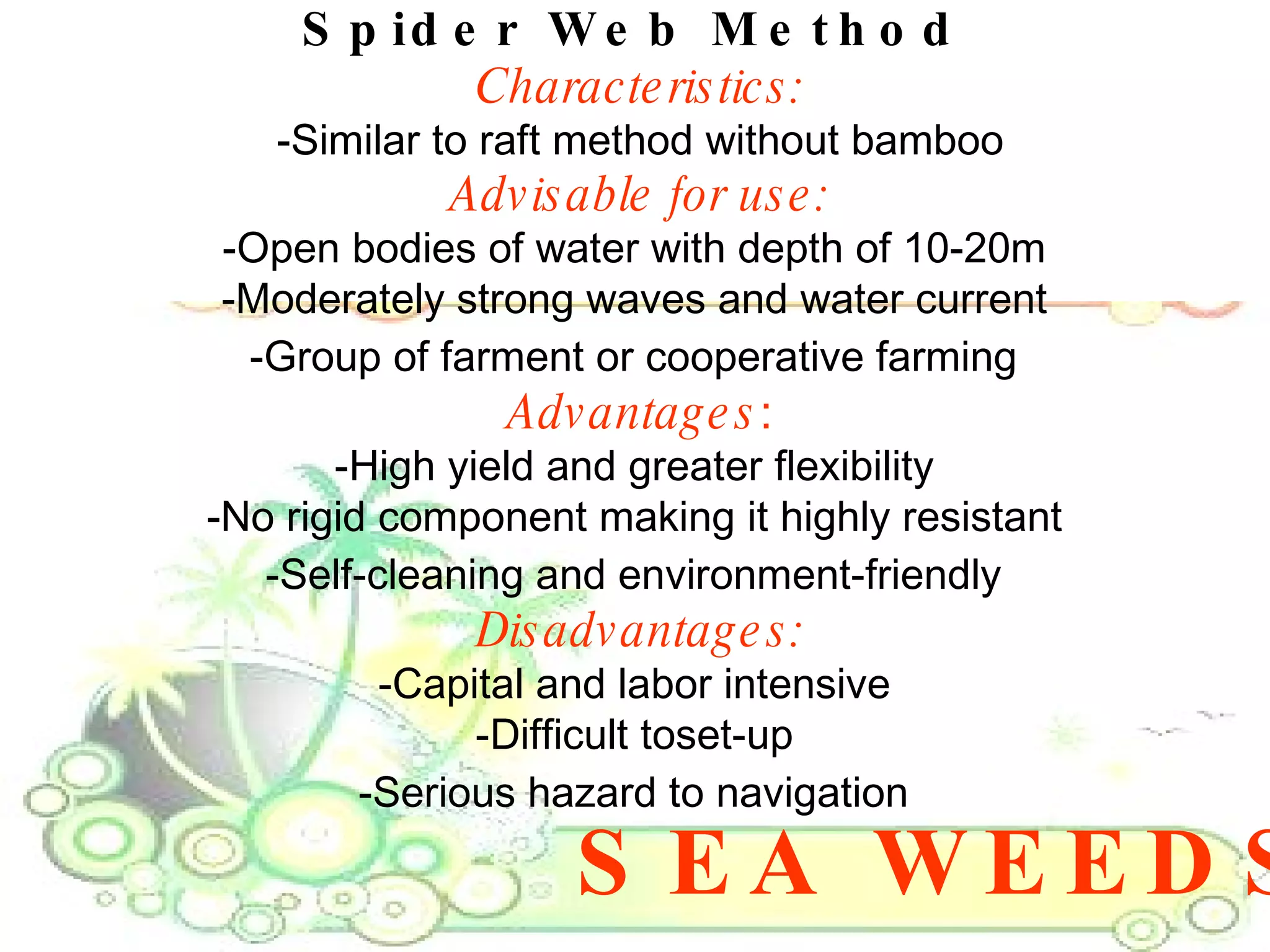 SEA WEEDS Spider Web Method   Characteristics: -Similar to raft method without bamboo Advisable for use: -Open bodies of water with depth of 10-20m  -Moderately strong waves and water current  -Group of farment or cooperative farming   Advantages : -High yield and greater flexibility  -No rigid component making it highly resistant  -Self-cleaning and environment-friendly   Disadvantages: -Capital and labor intensive  -Difficult toset-up  -Serious hazard to navigation   