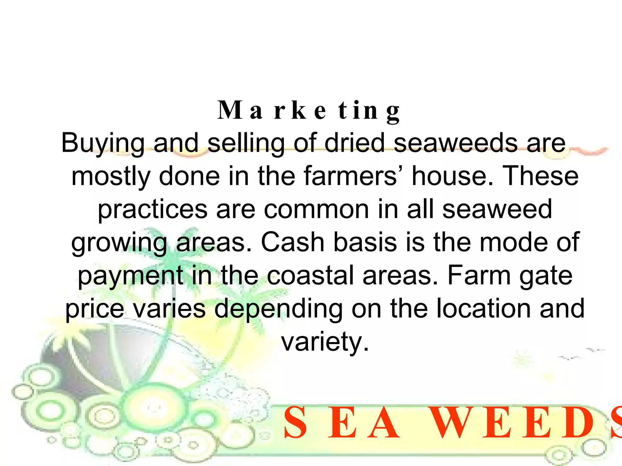 SEA WEEDS Marketing Buying and selling of dried seaweeds are mostly done in the farmers’ house. These practices are common in all seaweed growing areas. Cash basis is the mode of payment in the coastal areas. Farm gate price varies depending on the location and variety. 