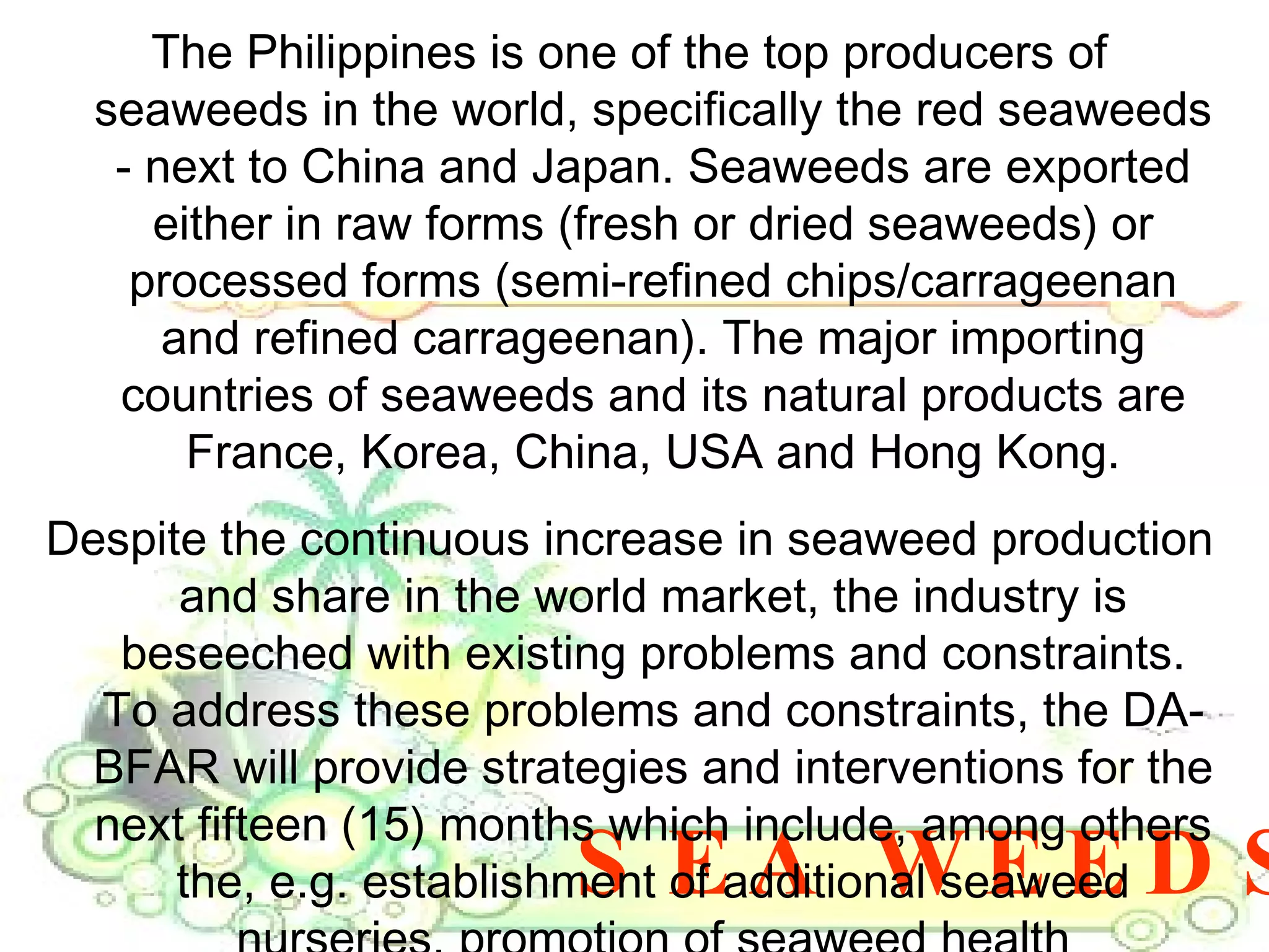 SEA WEEDS The Philippines is one of the top producers of seaweeds in the world, specifically the red seaweeds - next to China and Japan. Seaweeds are exported either in raw forms (fresh or dried seaweeds) or processed forms (semi-refined chips/carrageenan and refined carrageenan). The major importing countries of seaweeds and its natural products are France, Korea, China, USA and Hong Kong. Despite the continuous increase in seaweed production and share in the world market, the industry is beseeched with existing problems and constraints. To address these problems and constraints, the DA-BFAR will provide strategies and interventions for the next fifteen (15) months which include, among others the, e.g. establishment of additional seaweed nurseries, promotion of seaweed health management, provision of post-harvest facilities and establishment of a pilot semi-processing plant. 
