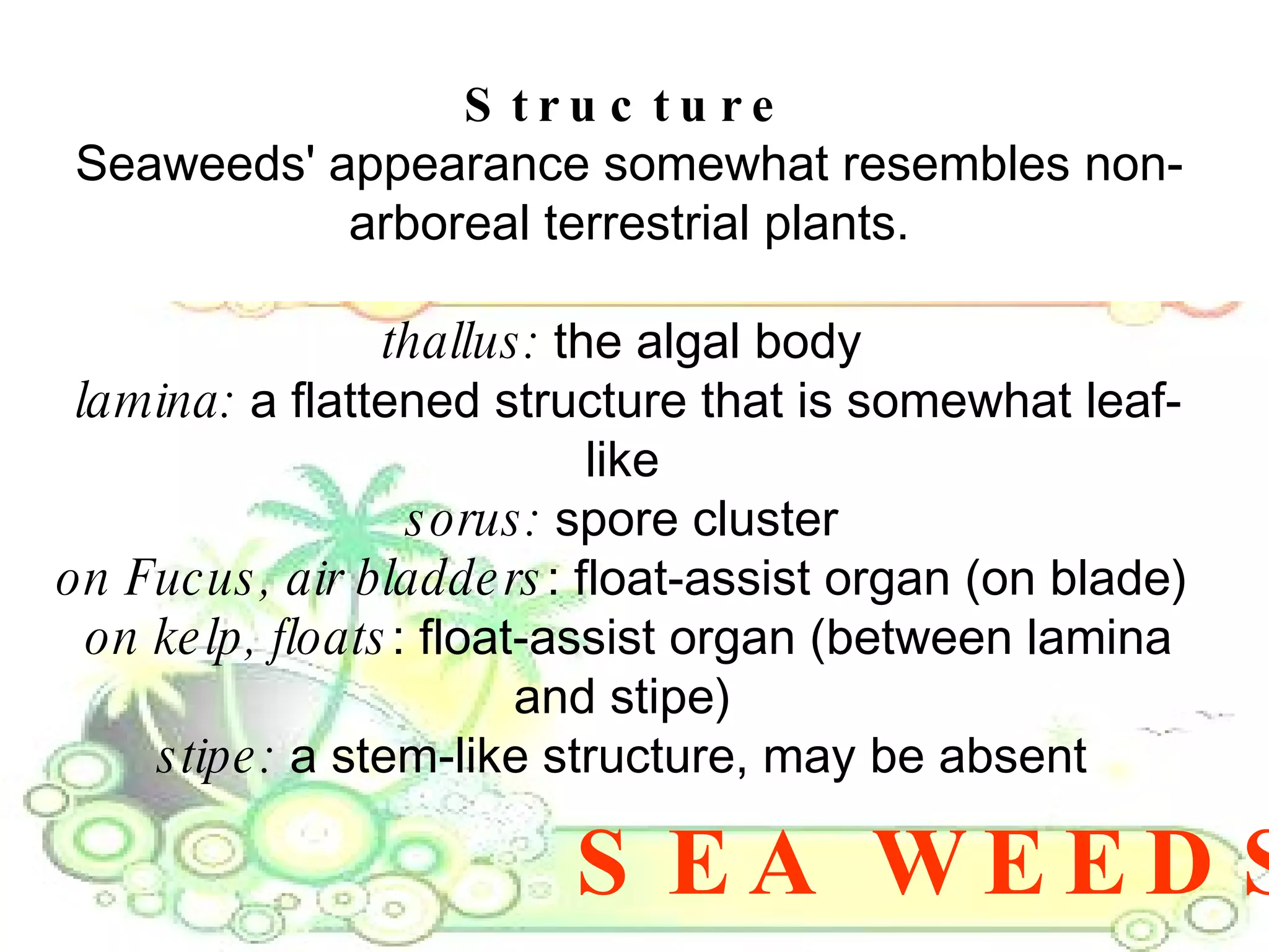 SEA WEEDS Structure Seaweeds' appearance somewhat resembles non-arboreal terrestrial plants. thallus:  the algal body  lamina:  a flattened structure that is somewhat leaf-like  sorus:  spore cluster  on Fucus, air bladders : float-assist organ (on blade)  on kelp, floats : float-assist organ (between lamina and stipe)  stipe:  a stem-like structure, may be absent  