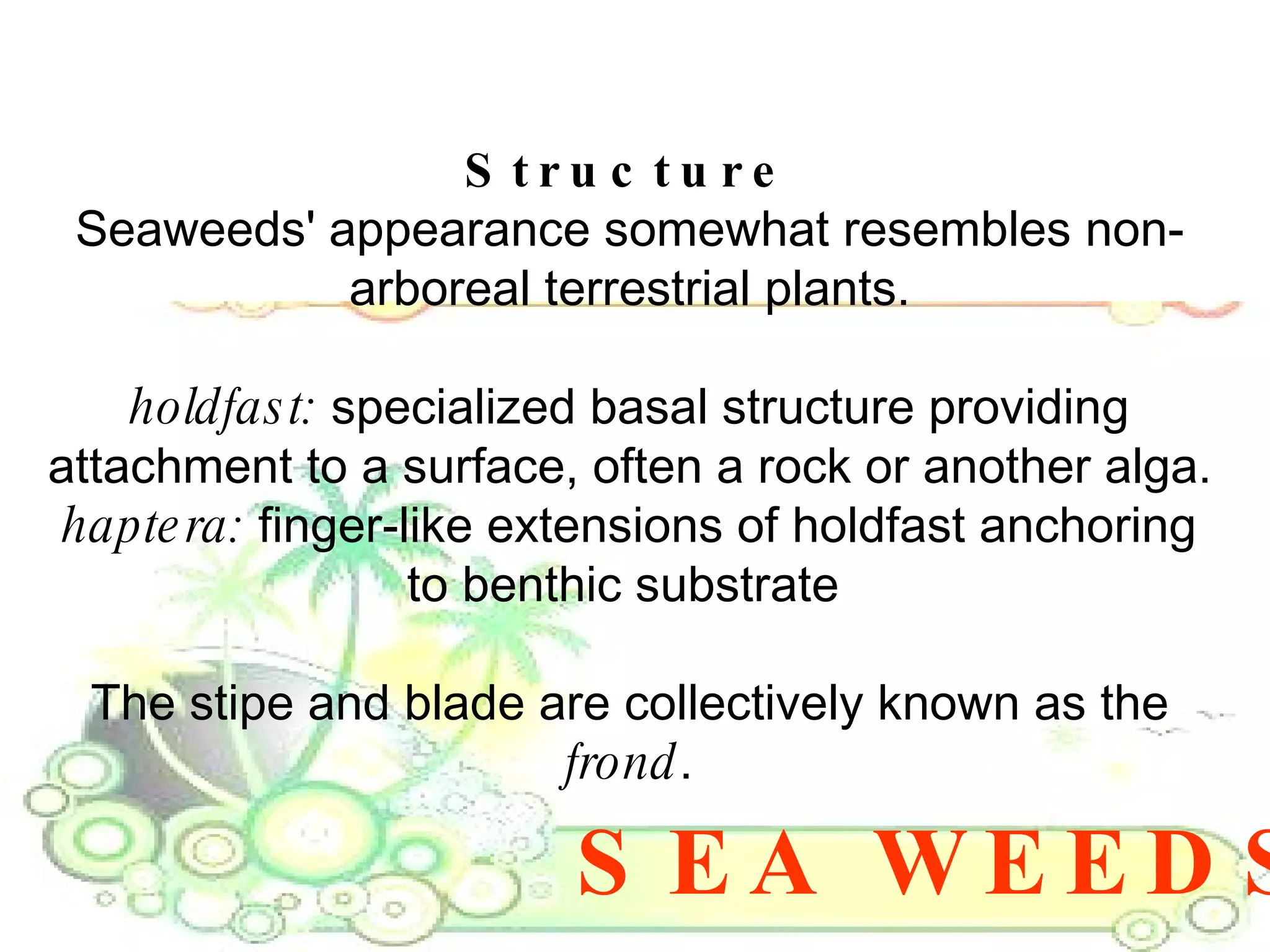 SEA WEEDS Structure Seaweeds' appearance somewhat resembles non-arboreal terrestrial plants. holdfast:  specialized basal structure providing attachment to a surface, often a rock or another alga.  haptera:  finger-like extensions of holdfast anchoring to benthic substrate  The stipe and blade are collectively known as the  frond . 