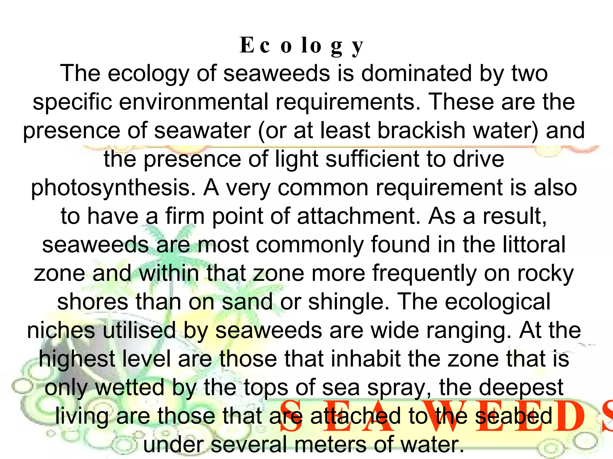 SEA WEEDS Ecology The ecology of seaweeds is dominated by two specific environmental requirements. These are the presence of seawater (or at least brackish water) and the presence of light sufficient to drive photosynthesis. A very common requirement is also to have a firm point of attachment. As a result, seaweeds are most commonly found in the littoral zone and within that zone more frequently on rocky shores than on sand or shingle. The ecological niches utilised by seaweeds are wide ranging. At the highest level are those that inhabit the zone that is only wetted by the tops of sea spray, the deepest living are those that are attached to the seabed under several meters of water. 