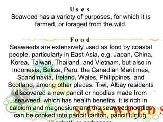 SEA WEEDS Uses Seaweed has a variety of purposes, for which it is farmed, or foraged from the wild. Food Seaweeds are extensively used as food by coastal people, particularly in East Asia, e.g. Japan, China, Korea, Taiwan, Thailand, and Vietnam, but also in Indonesia, Belize, Peru, the Canadian Maritimes, Scandinavia, Ireland, Wales, Philippines, and Scotland, among other places. Tiwi, Albay residents discovered a new pancit or noodles made from seaweed, which has health benefits. It is rich in calcium and magnesium and the seaweed noodles can be cooked into pancit canton, pancit luglug, spaghetti or carbonara. 