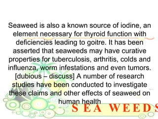 SEA WEEDS Seaweed is also a known source of iodine, an element necessary for thyroid function with deficiencies leading to goitre. It has been asserted that seaweeds may have curative properties for tuberculosis, arthritis, colds and influenza, worm infestations and even tumors. [dubious – discuss] A number of research studies have been conducted to investigate these claims and other effects of seaweed on human health 