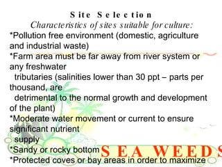 SEA WEEDS Site Selection Characteristics of sites suitable for culture: *Pollution free environment (domestic, agriculture and industrial waste)  *Farm area must be far away from river system or any freshwater  tributaries (salinities lower than 30 ppt – parts per thousand, are  detrimental to the normal growth and development of the plant)  *Moderate water movement or current to ensure significant nutrient  supply  *Sandy or rocky bottom  *Protected coves or bay areas in order to maximize production  *Site should not be exposed during low tide  