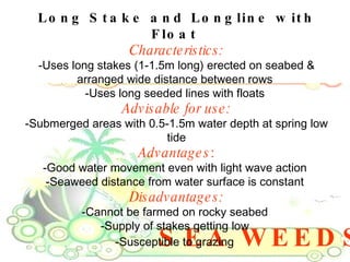 SEA WEEDS Long Stake and Longline with Float   Characteristics: -Uses long stakes (1-1.5m long) erected on seabed & arranged wide distance between rows  -Uses long seeded lines with floats  Advisable for use: -Submerged areas with 0.5-1.5m water depth at spring low tide Advantages : -Good water movement even with light wave action  -Seaweed distance from water surface is constant  Disadvantages: -Cannot be farmed on rocky seabed  -Supply of stakes getting low  -Susceptible to grazing   