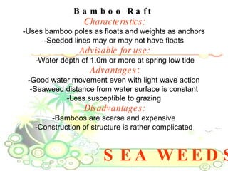 SEA WEEDS Bamboo Raft  Characteristics: -Uses bamboo poles as floats and weights as anchors  -Seeded lines may or may not have floats  Advisable for use: -Water depth of 1.0m or more at spring low tide Advantages : -Good water movement even with light wave action  -Seaweed distance from water surface is constant  -Less susceptible to grazing  Disadvantages: -Bamboos are scarse and expensive  -Construction of structure is rather complicated  