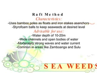 SEA WEEDS Raft Method  Characteristics: -Uses bamboo poles as floats and iron stakes asanchors  -Styrofoam balls to keep seaweeds at desired level  Advisable for use: -Water depth of 10-20m  -Wide channels and open bodies of water  -Moderately strong waves and water current  -Common in areas like Zamboanga and Sulu  
