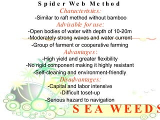 SEA WEEDS Spider Web Method   Characteristics: -Similar to raft method without bamboo Advisable for use: -Open bodies of water with depth of 10-20m  -Moderately strong waves and water current  -Group of farment or cooperative farming   Advantages : -High yield and greater flexibility  -No rigid component making it highly resistant  -Self-cleaning and environment-friendly   Disadvantages: -Capital and labor intensive  -Difficult toset-up  -Serious hazard to navigation   