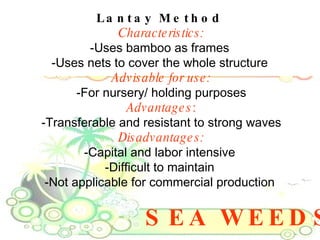 SEA WEEDS Lantay Method   Characteristics: -Uses bamboo as frames  -Uses nets to cover the whole structure  Advisable for use: -For nursery/ holding purposes Advantages : -Transferable and resistant to strong waves Disadvantages: -Capital and labor intensive  -Difficult to maintain  -Not applicable for commercial production  