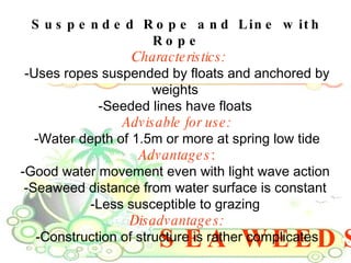 SEA WEEDS Suspended Rope and Line with Rope Characteristics: -Uses ropes suspended by floats and anchored by weights  -See...