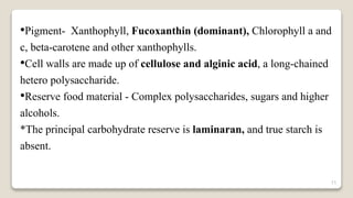 11
•Pigment- Xanthophyll, Fucoxanthin (dominant), Chlorophyll a and
c, beta-carotene and other xanthophylls.
•Cell walls are made up of cellulose and alginic acid, a long-chained
hetero polysaccharide.
•Reserve food material - Complex polysaccharides, sugars and higher
alcohols.
*The principal carbohydrate reserve is laminaran, and true starch is
absent.
 