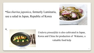 12
•Saccharina japonica, formerly Laminaria,
use a salad in Japan, Republic of Korea
•.
Undaria pinnatifida is also cultivated in Japan,
Korea and China for production of Wakame, a
valuable food kelp
 