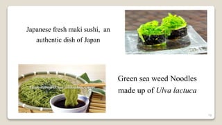 19
Japanese fresh maki sushi, an
authentic dish of Japan
Green sea weed Noodles
made up of Ulva lactuca
 