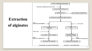 23
Extraction
of alginates
 