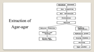 38
Extraction of
Agar-agar
 