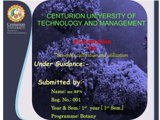 CENTURION UNIVERSITY OF
TECHNOLOGY AND MANAGEMENT
Under Guidance:-
Submitted by:-
Name: mr. BPN
Reg. No.: 001
Year & Sem.: 1st year [ 1st Sem.]
Programme: Botany
Presentation
On
“Seaweeds cultivation and utilization”
 