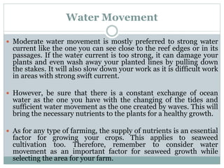 Water Movement
 Moderate water movement is mostly preferred to strong water
current like the one you can see close to the reef edges or in its
passages. If the water current is too strong, it can damage your
plants and even wash away your planted lines by pulling down
the stakes. It will also slow down your work as it is difficult work
in areas with strong swift current.
 However, be sure that there is a constant exchange of ocean
water as the one you have with the changing of the tides and
sufficient water movement as the one created by waves. This will
bring the necessary nutrients to the plants for a healthy growth.
 As for any type of farming, the supply of nutrients is an essential
factor for growing your crops. This applies to seaweed
cultivation too. Therefore, remember to consider water
movement as an important factor for seaweed growth while
selecting the area for your farm.
 