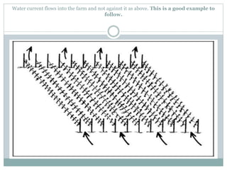 Water current flows into the farm and not against it as above. This is a good example to
follow.
 