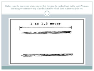 Stakes must be sharpened at one end so that they can be easily driven in the sand. You can
use mangrove stakes or any other bush timber which does not rot easily in sea
 