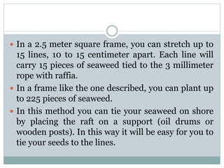  In a 2.5 meter square frame, you can stretch up to
15 lines, 10 to 15 centimeter apart. Each line will
carry 15 pieces of seaweed tied to the 3 millimeter
rope with raffia.
 In a frame like the one described, you can plant up
to 225 pieces of seaweed.
 In this method you can tie your seaweed on shore
by placing the raft on a support (oil drums or
wooden posts). In this way it will be easy for you to
tie your seeds to the lines.
 