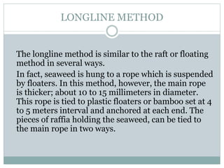 LONGLINE METHOD
The longline method is similar to the raft or floating
method in several ways.
In fact, seaweed is hung to a rope which is suspended
by floaters. In this method, however, the main rope
is thicker; about 10 to 15 millimeters in diameter.
This rope is tied to plastic floaters or bamboo set at 4
to 5 meters interval and anchored at each end. The
pieces of raffia holding the seaweed, can be tied to
the main rope in two ways.
 