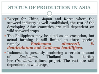 STATUS OF PRODUCTION IN ASIA
 Except for China, Japan and Korea where the
seaweed industry is well established, the rest of the
developing Asian countries are still dependent on
wild seaweed crops.
 The Philippines may be cited as an exception, but
actual farming is still limited to three species,
namely: Eucheuma alvarezii, E.
denticulatum and Caulerpa lentillifera.
 Indonesia is presently producing a certain amount
of Eucheuma. Thailand is starting
her Gracilaria culture project. The rest are still
dependent on wild crops.
 