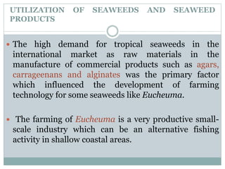 UTILIZATION OF SEAWEEDS AND SEAWEED
PRODUCTS
 The high demand for tropical seaweeds in the
international market as raw materials in the
manufacture of commercial products such as agars,
carrageenans and alginates was the primary factor
which influenced the development of farming
technology for some seaweeds like Eucheuma.
 The farming of Eucheuma is a very productive small-
scale industry which can be an alternative fishing
activity in shallow coastal areas.
 