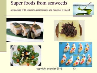 Super foods from seaweeds
are packed with vitamins, antioxidants and minerals we need




                         copyright acloutier 2013             13
 