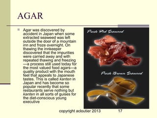 AGAR
 Agar was discovered by
  accident in Japan when some
  extracted seaweed was left
  outside the door of a mountain
  inn and froze overnight. On
  thawing the innkeeper
  discovered that the impurities
  were carried away and with
  repeated thawing and freezing
  —a process still used today for
  the most valued food agars—a
  quality product with the mouth
  feel that appeals to Japanese
  tastes. This is called kanten in
  Japan and has become so
  popular recently that some
  restaurants serve nothing but
  kanten in all sorts of guises for
  the diet-conscious young
  executive

                        copyright acloutier 2013   17
 