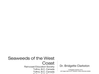 Seaweeds of the West
Coast
Raincoast Education Society
Tofino, B.C. Canada
Tofino, B.C. Canada
Dr. Bridgette Clarkston
© Bridgette Clarkston 2014
(all images taken by B. Clarkston unless otherwise stated).
 