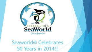 Seaworld® Celebrates
50 Years in 2014!!
 
