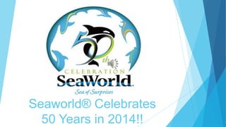 Seaworld® Celebrates
50 Years in 2014!!

 