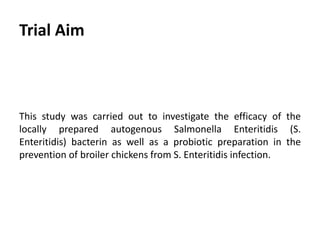Avian Salmonella Inactivated Vaccine Against Probiotics | PPTX