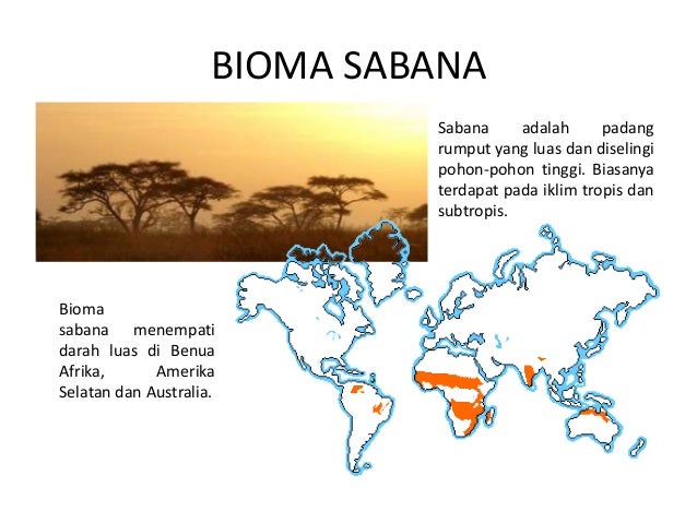  Persebaran  Flora dan Fauna 