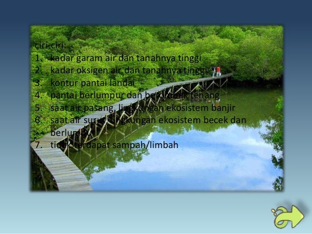 Sebaran Flora dan Fauna di dunia Sebaran Flora dan Fauna di dunia