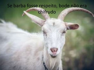 Se barba fosse respeito, bode não era
chifrudo
 