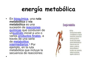 energía metabólica
• En bioquímica, una ruta
metabólica o vía
metabólica es una
sucesión de reacciones
químicas que conducen de
unsustrato inicial a uno o
varios productos finales, a
través de una serie
de metabolitos
intermediarios.1 Por
ejemplo, en la ruta
metabólica que incluye la
secuencia de reacciones:
•
 