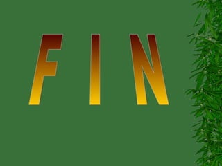 F  I  N 