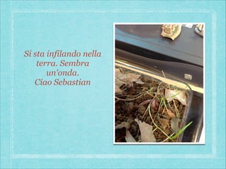 Si sta infilando nella
terra. Sembra
un'onda.
Ciao Sebastian

 