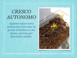 CRESCO
AUTONOMO
Appena nasco sono
autonomo cioè sono in
grado di badare a me
stesso, pronto per
diventare adulto.

 