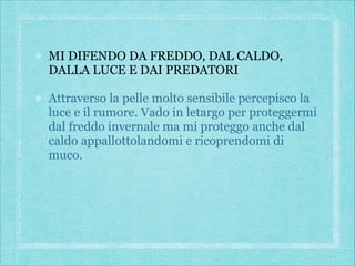 MI DIFENDO DA FREDDO, DAL CALDO,
DALLA LUCE E DAI PREDATORI
Attraverso la pelle molto sensibile percepisco la
luce e il rumore. Vado in letargo per proteggermi
dal freddo invernale ma mi proteggo anche dal
caldo appallottolandomi e ricoprendomi di
muco.


 