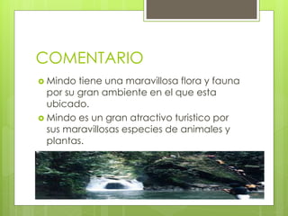 COMENTARIO
 Mindo tiene una maravillosa flora y fauna
por su gran ambiente en el que esta
ubicado.
 Mindo es un gran atractivo turistico por
sus maravillosas especies de animales y
plantas.
 