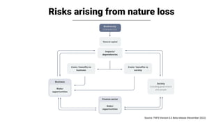 Risks arising from nature loss
Source: TNFD Version 0.3 Beta release (November 2022)
 