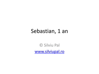 Sebastian, 1 an
© Silviu Pal
www.silviupal.ro
 