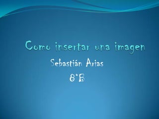 Sebastián Arias
     8°B
 